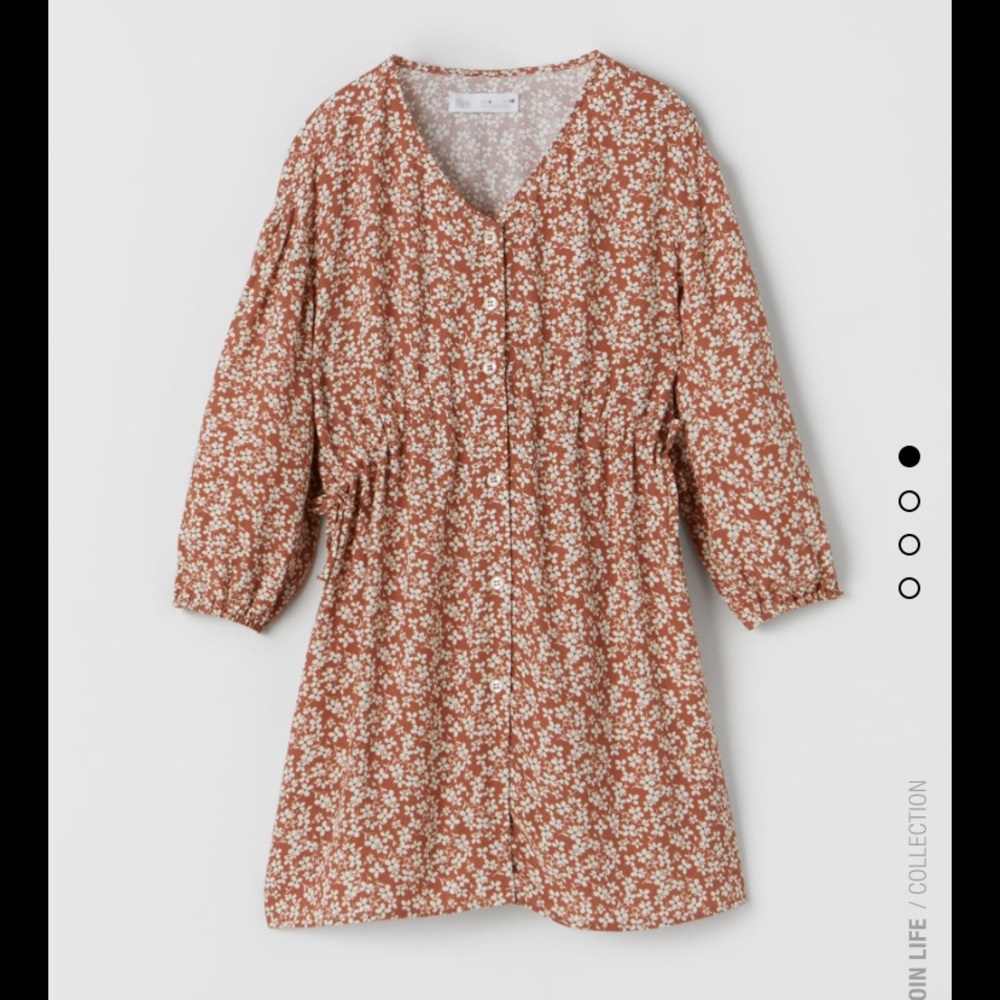 Zara Rust Floral Button-Front Dress with Cream Flowers